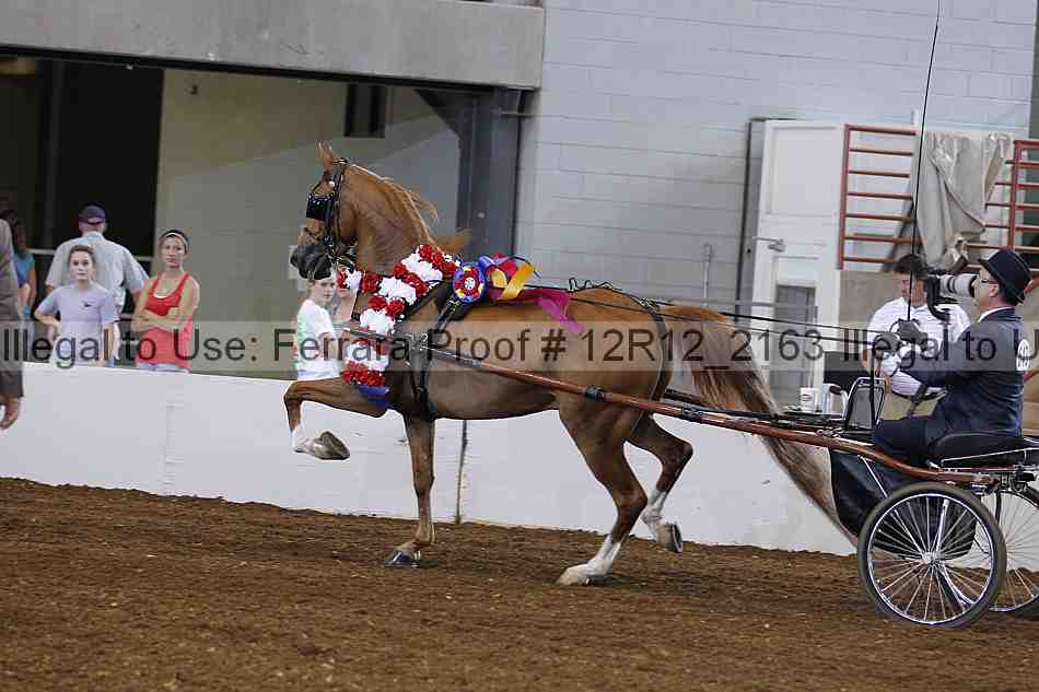 Proof Number 12r12_2163
