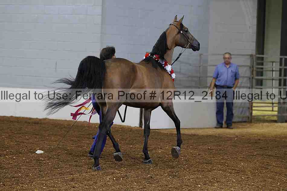 Proof Number 12r12_2184