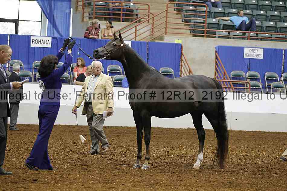 Proof Number 12r12_2192