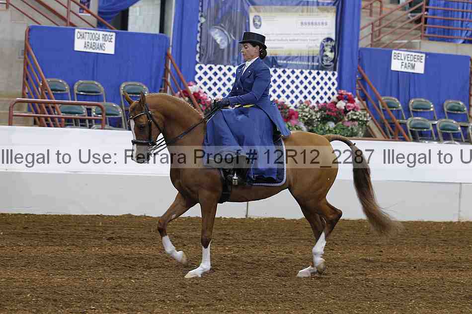 Proof Number 12r12_2287