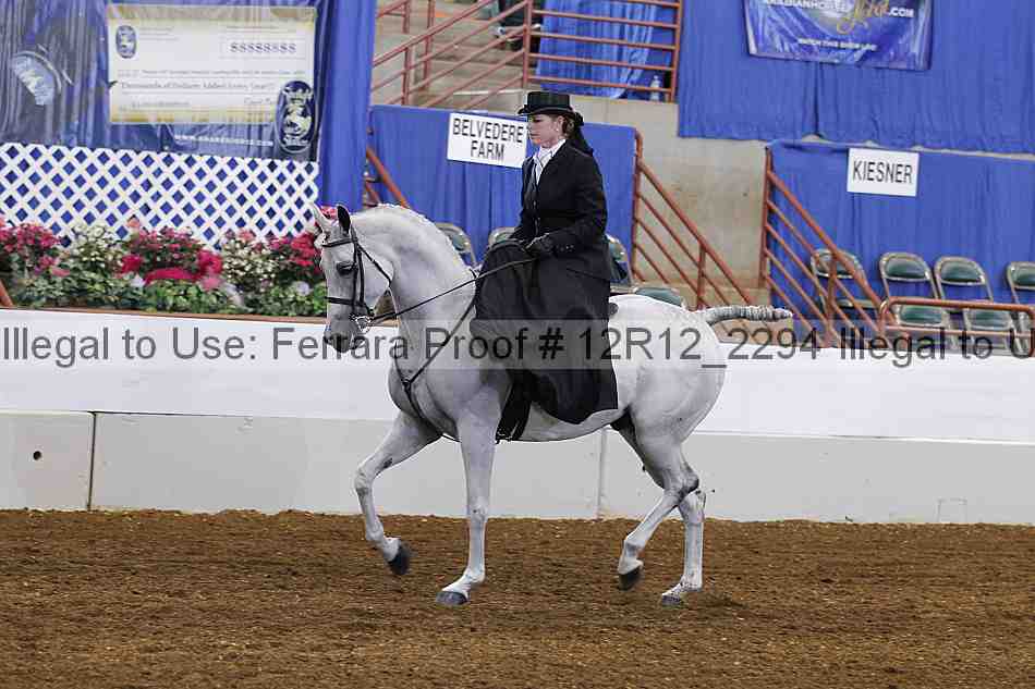Proof Number 12r12_2294
