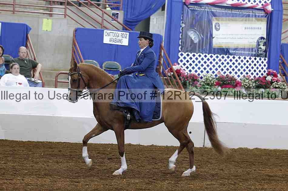 Proof Number 12r12_2307