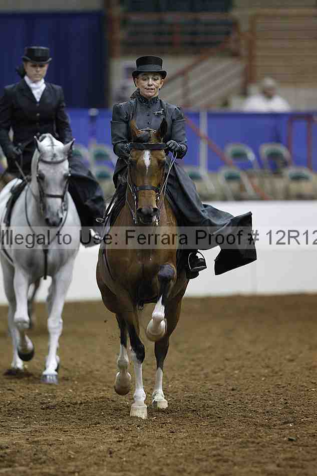 Proof Number 12r12_2308