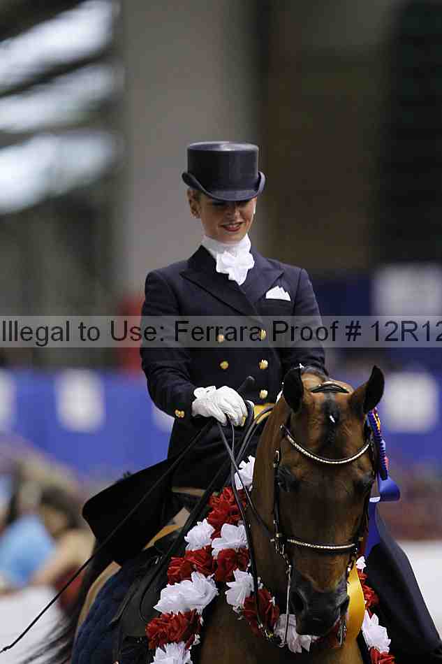 Proof Number 12r12_2321