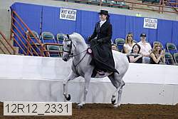 12r12_2331 thumbnail