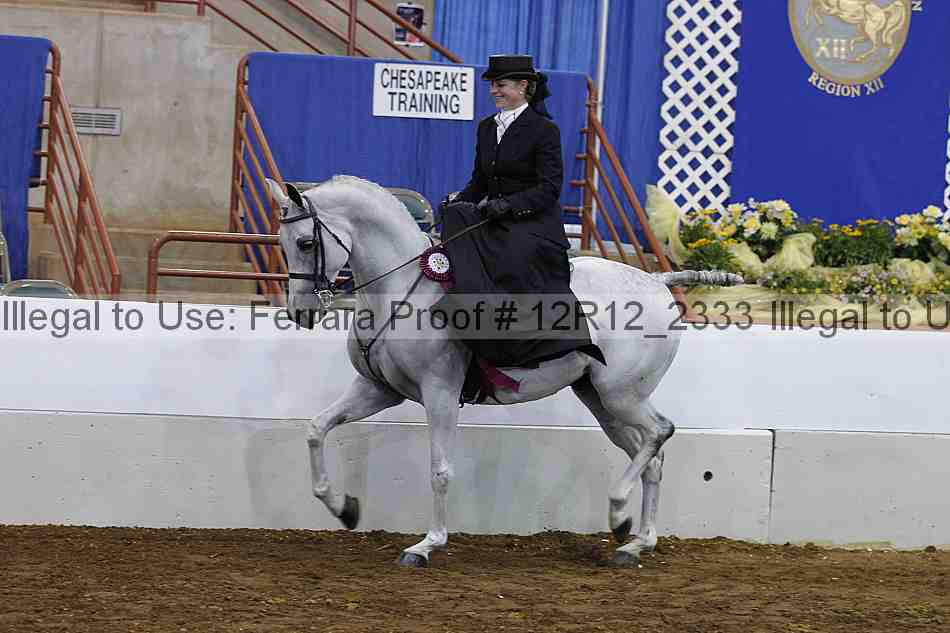 Proof Number 12r12_2333