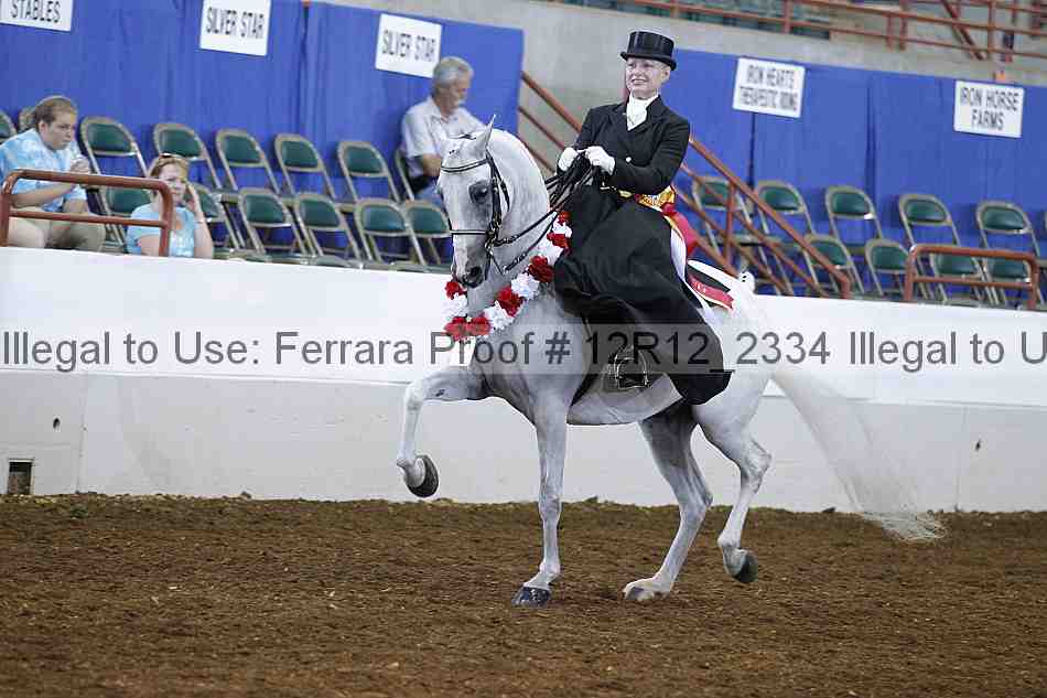 Proof Number 12r12_2334