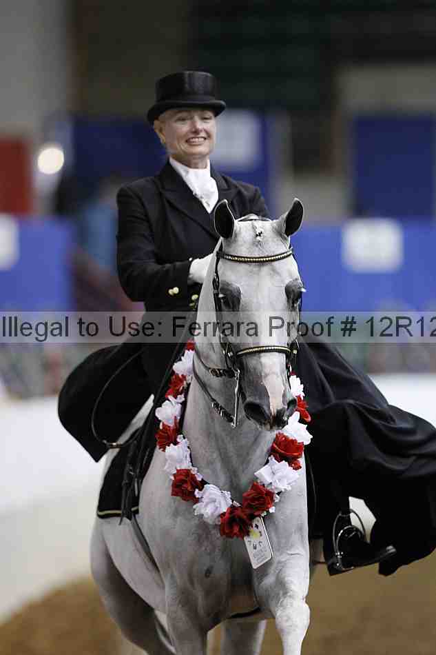 Proof Number 12r12_2338