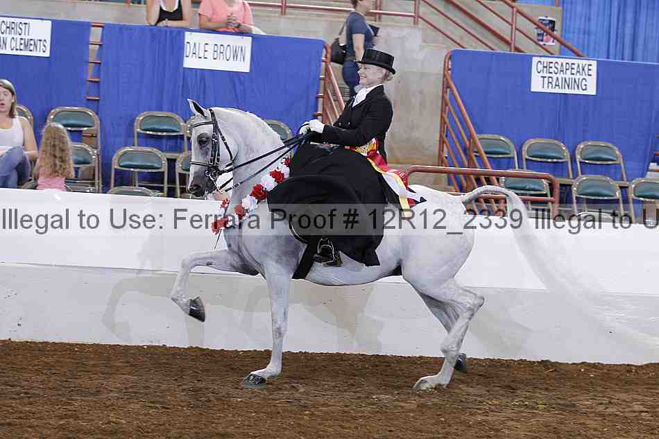 Proof Number 12r12_2339