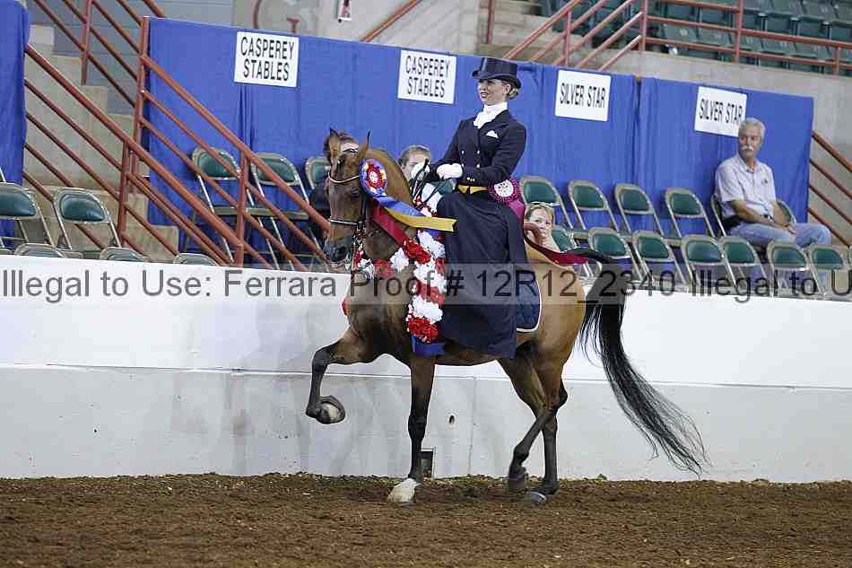 Proof Number 12r12_2340