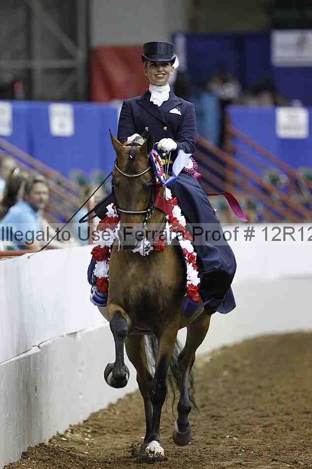 Proof Number 12r12_2342