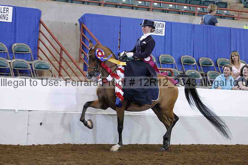 Proof Number 12r12_2343