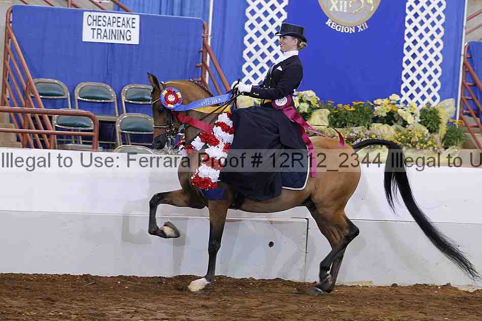 Proof Number 12r12_2344