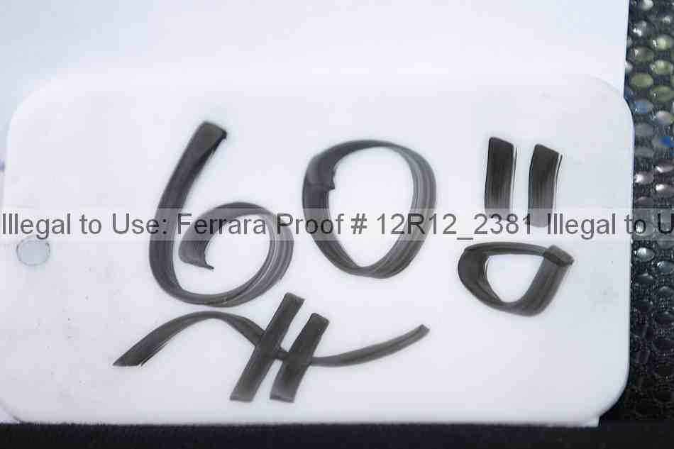 Proof Number 12r12_2381