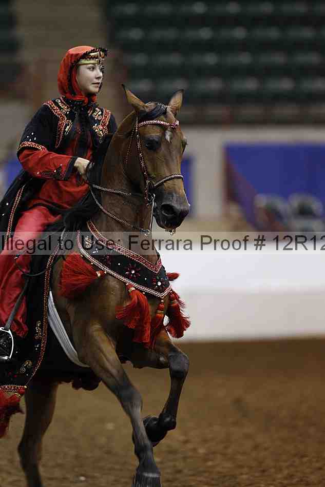 Proof Number 12r12_2394