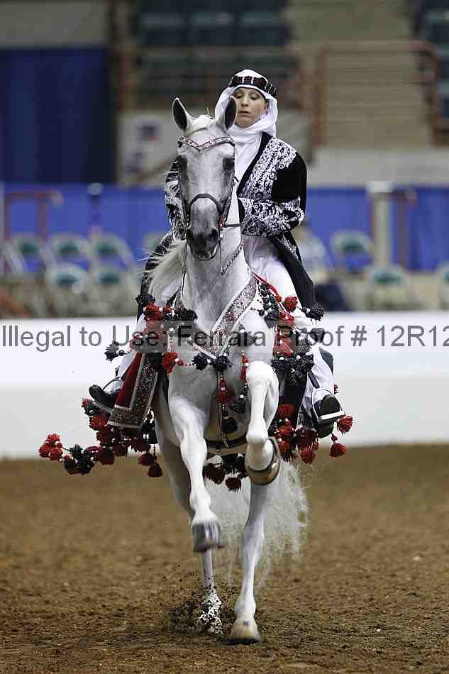Proof Number 12r12_2410
