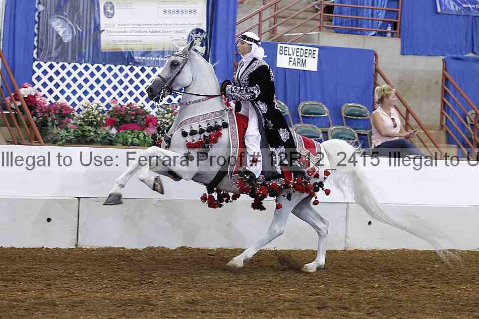 Proof Number 12r12_2415