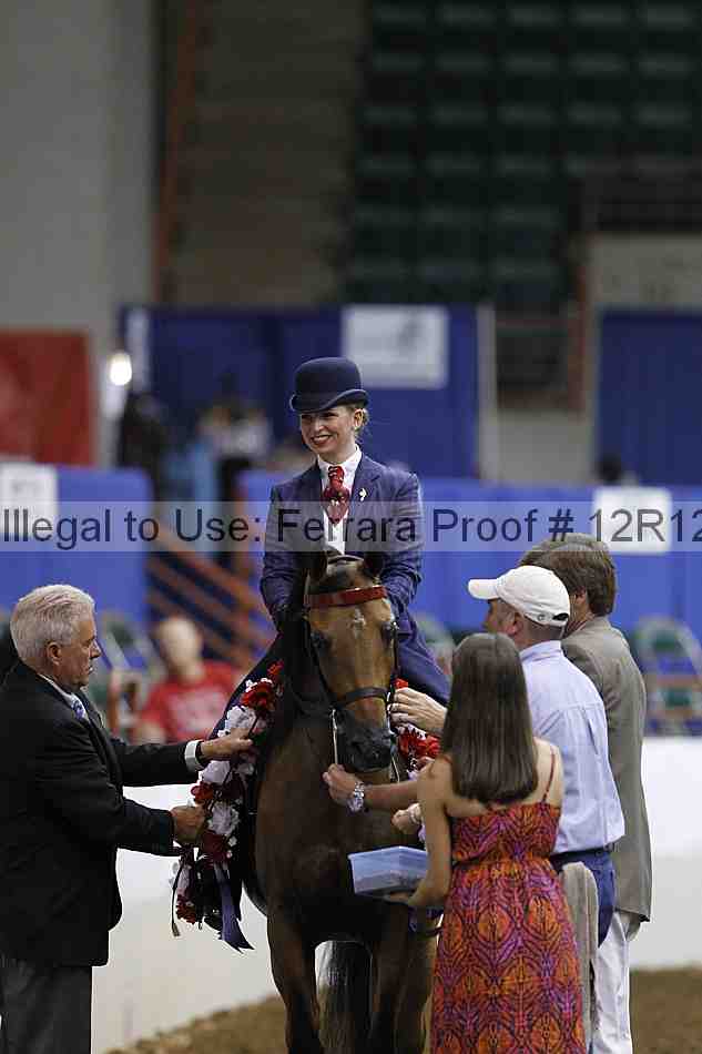 Proof Number 12r12_2486
