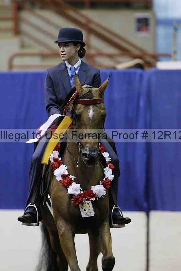 Proof Number 12r12_2496