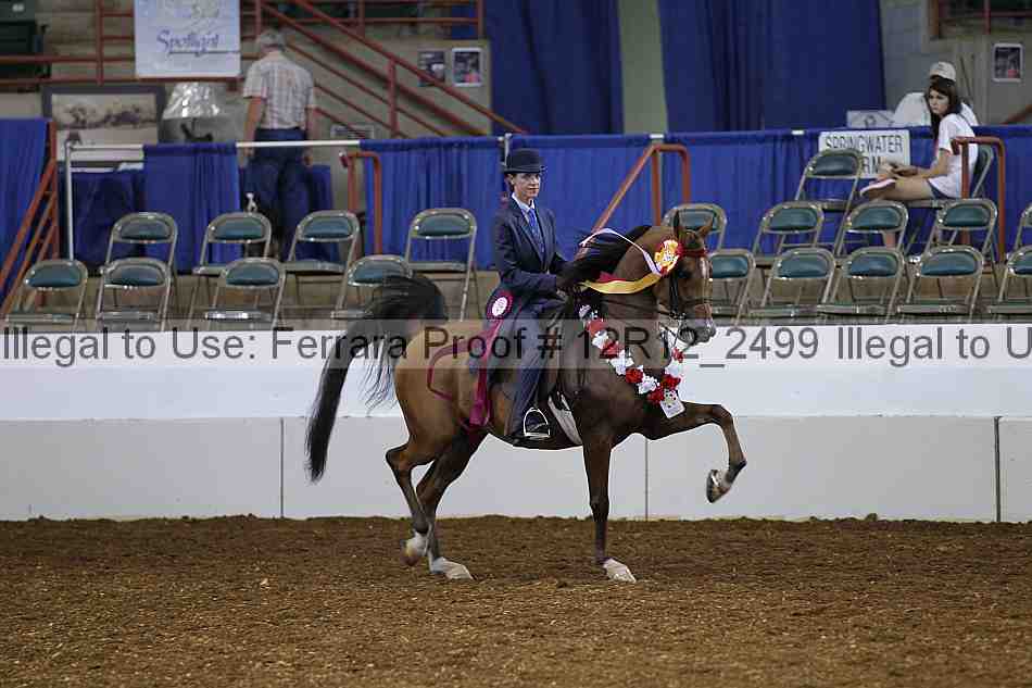 Proof Number 12r12_2499