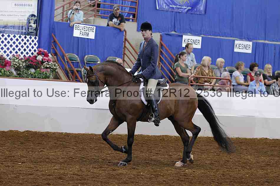 Proof Number 12r12_2536