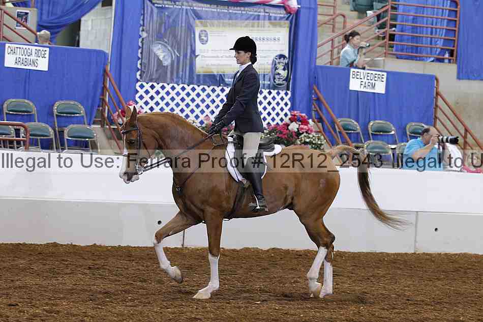 Proof Number 12r12_2543