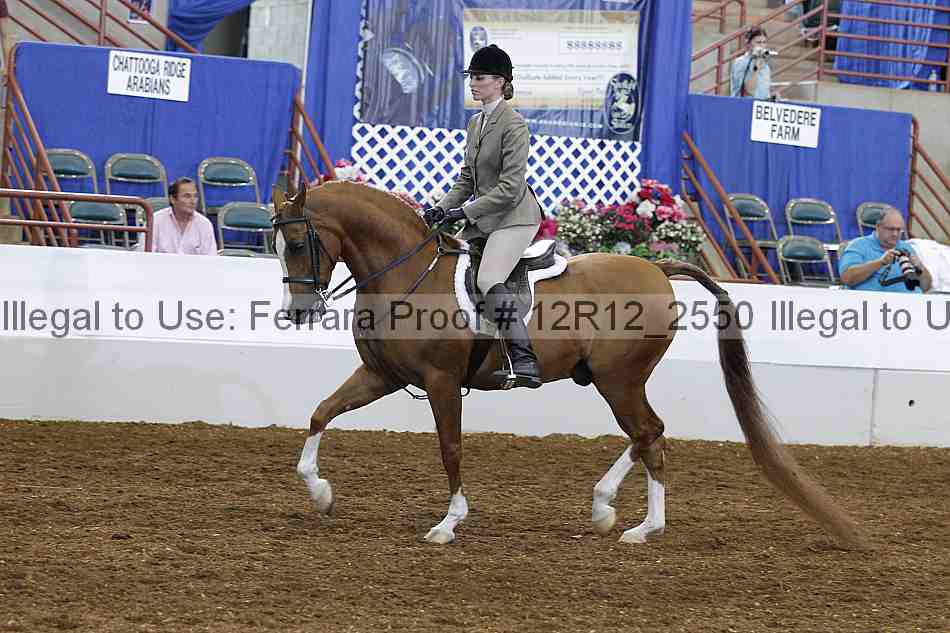 Proof Number 12r12_2550