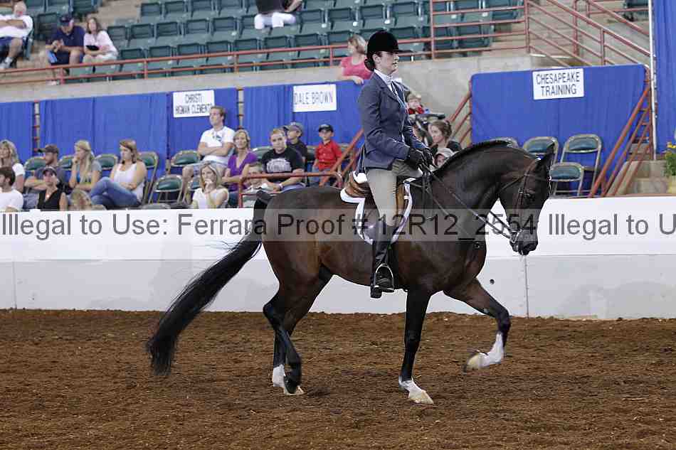 Proof Number 12r12_2554
