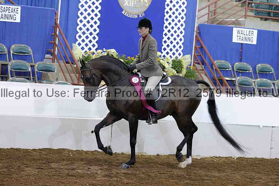 Proof Number 12r12_2579