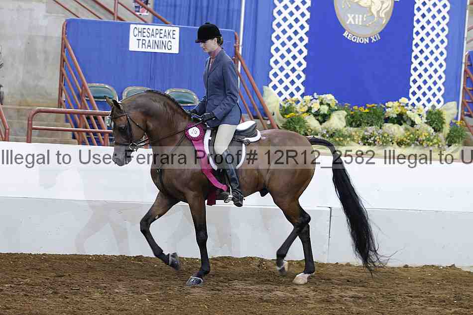 Proof Number 12r12_2582