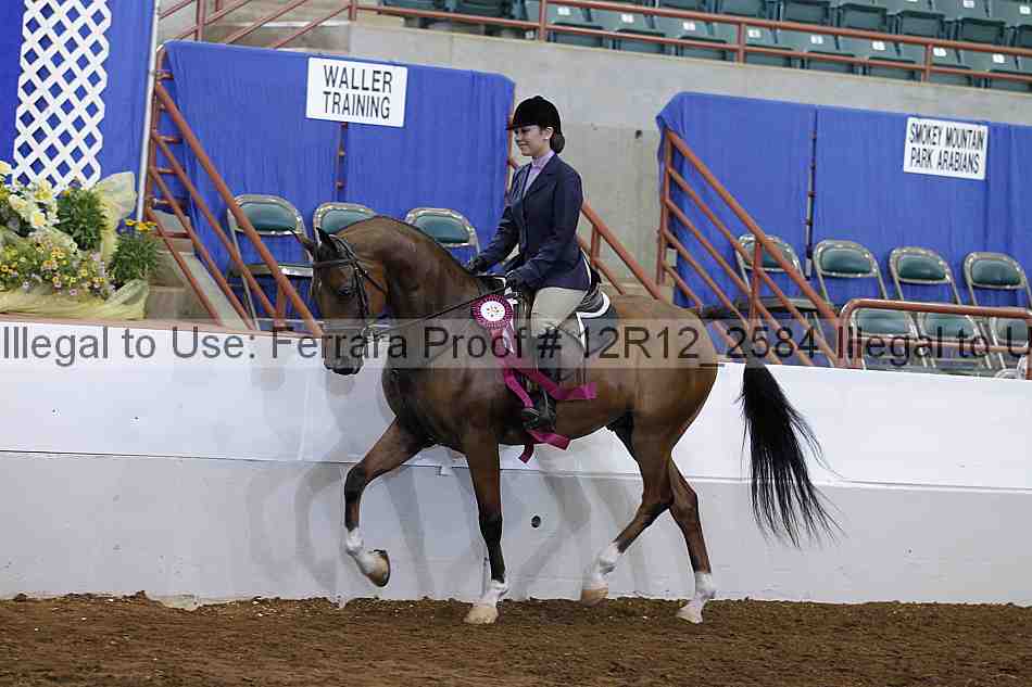 Proof Number 12r12_2584