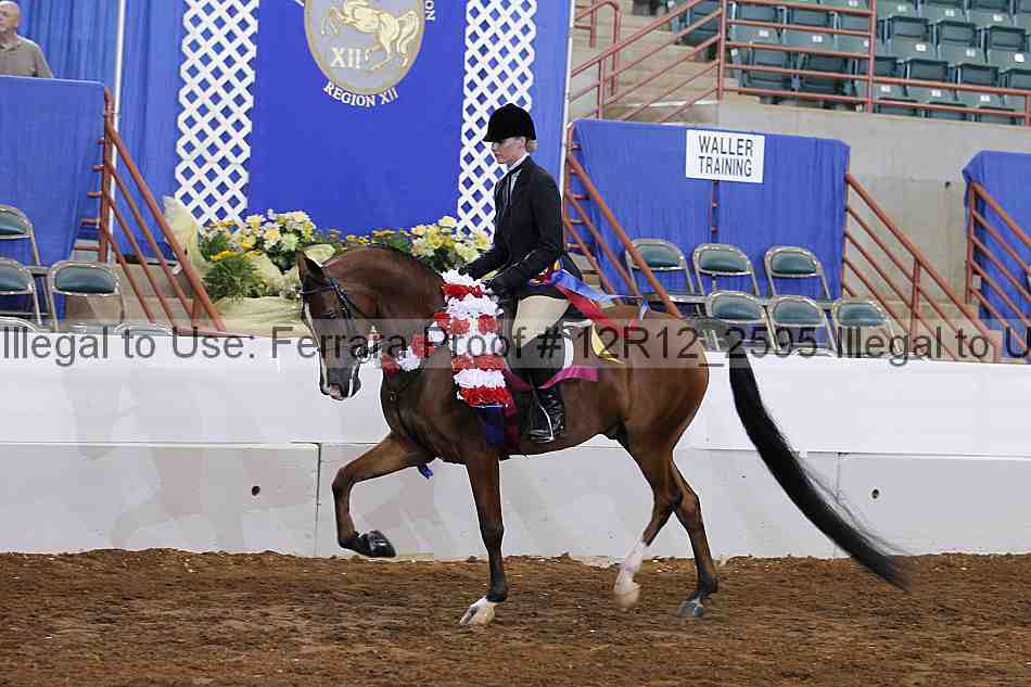Proof Number 12r12_2595