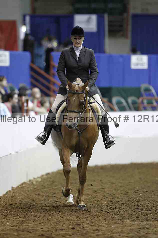 Proof Number 12r12_2624