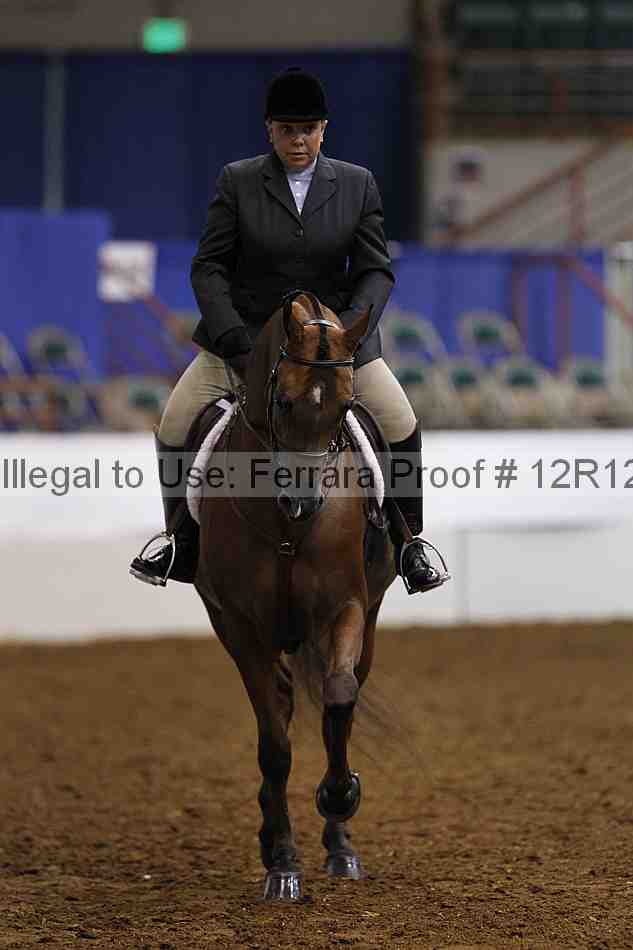 Proof Number 12r12_2628