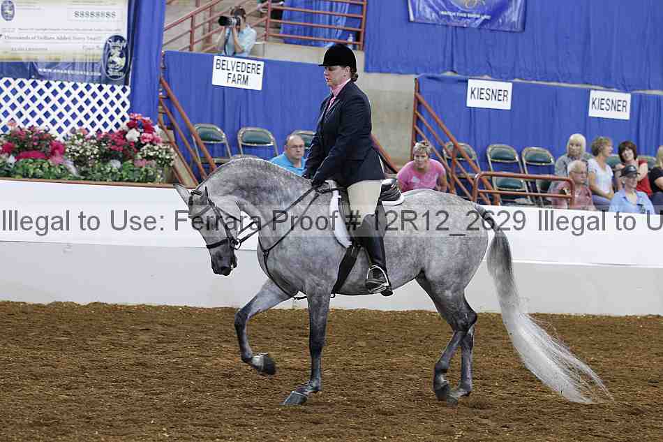 Proof Number 12r12_2629
