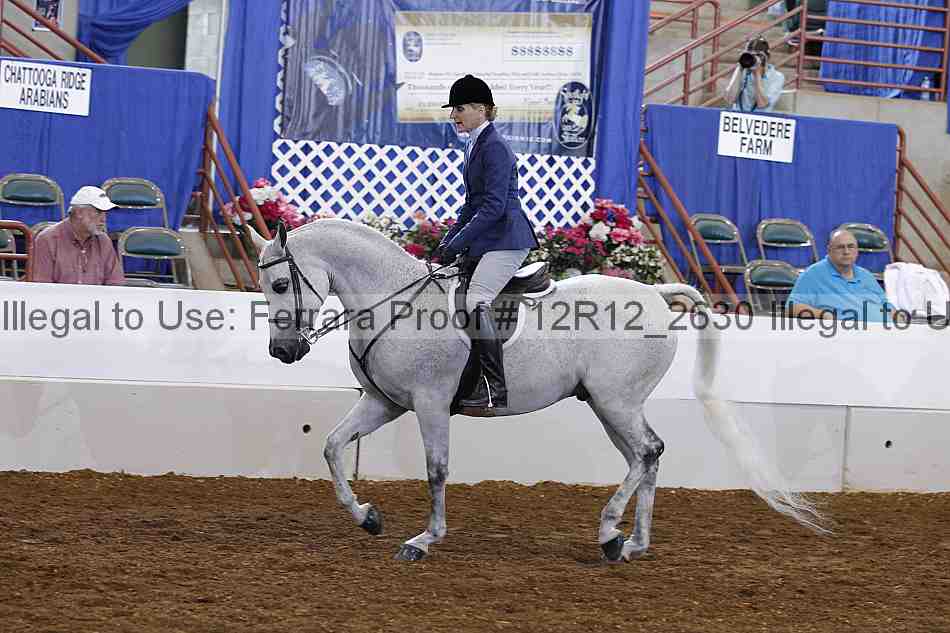 Proof Number 12r12_2630