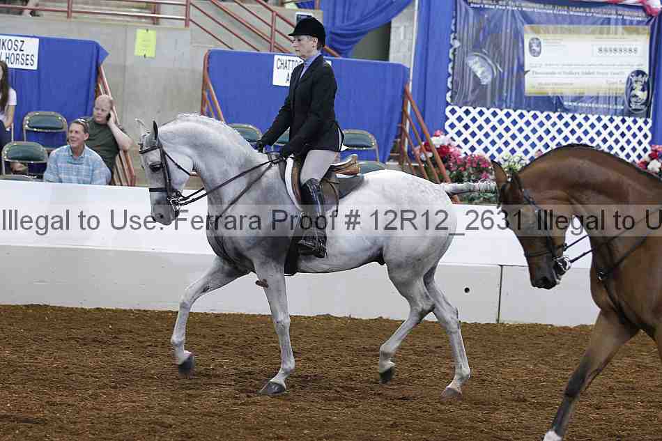Proof Number 12r12_2631
