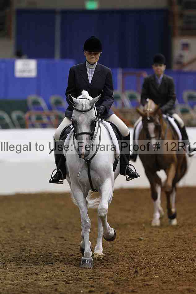 Proof Number 12r12_2633