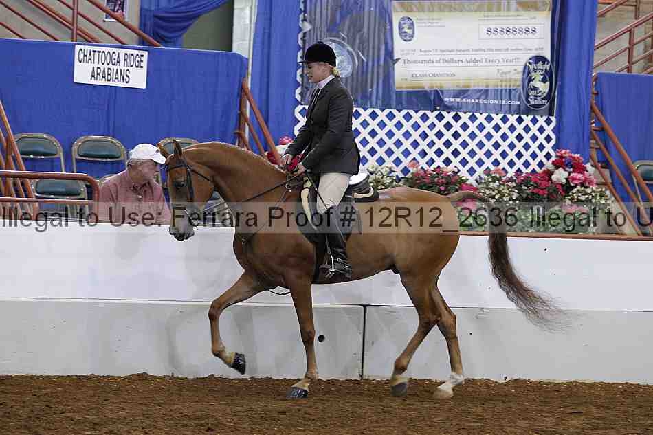 Proof Number 12r12_2636