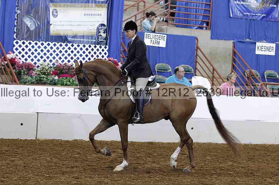 Proof Number 12r12_2639
