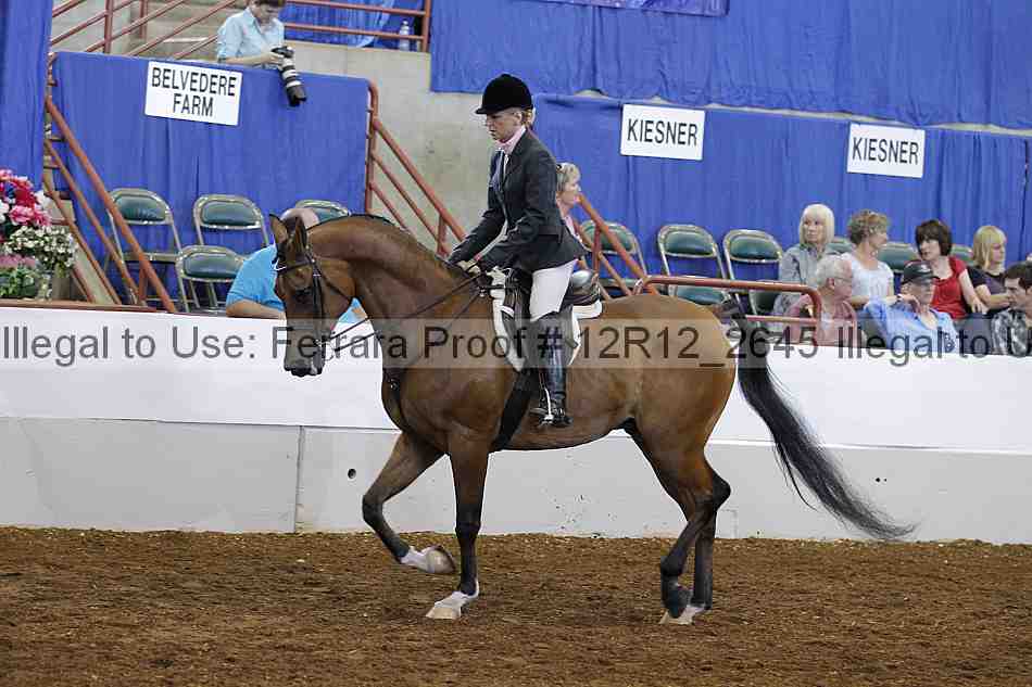Proof Number 12r12_2645