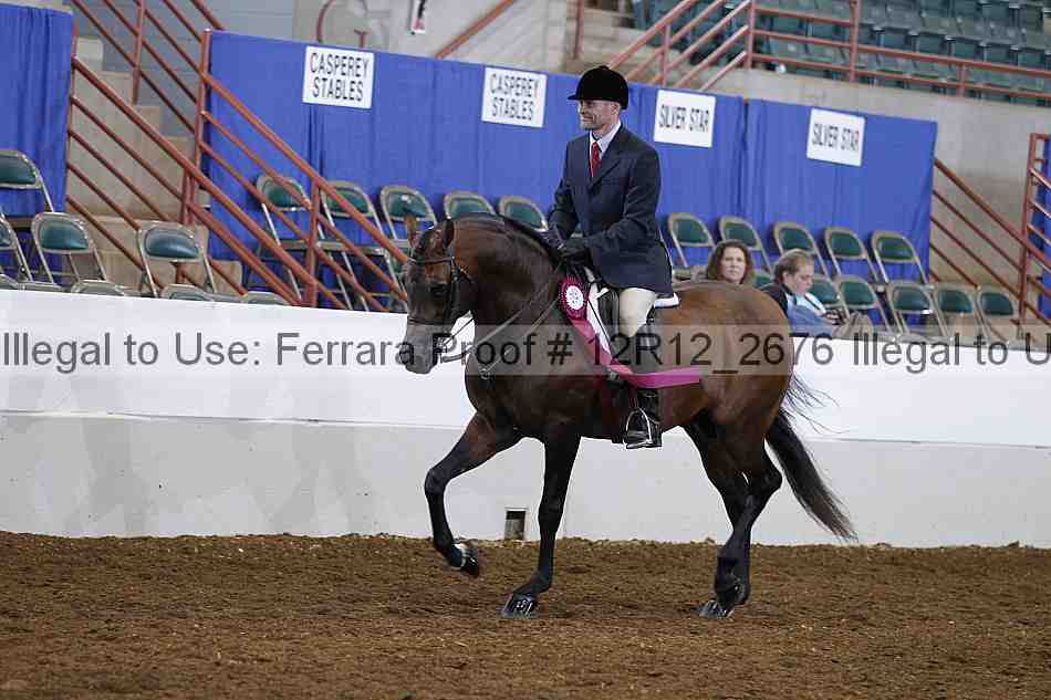 Proof Number 12r12_2676