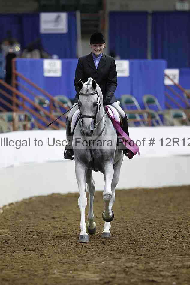 Proof Number 12r12_2678