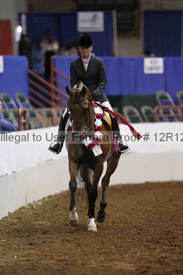 Proof Number 12r12_2685