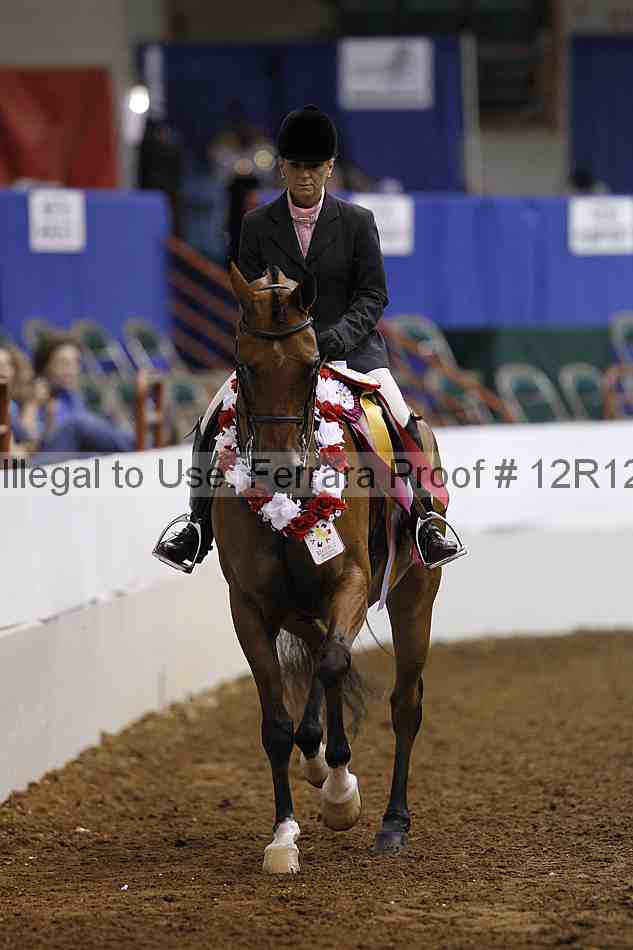 Proof Number 12r12_2686