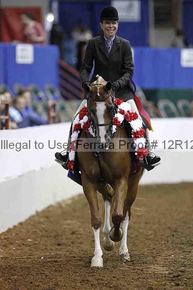 Proof Number 12r12_2689