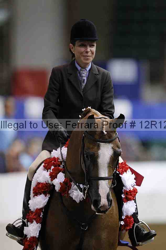 Proof Number 12r12_2693