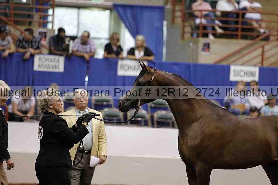 Proof Number 12r12_2724