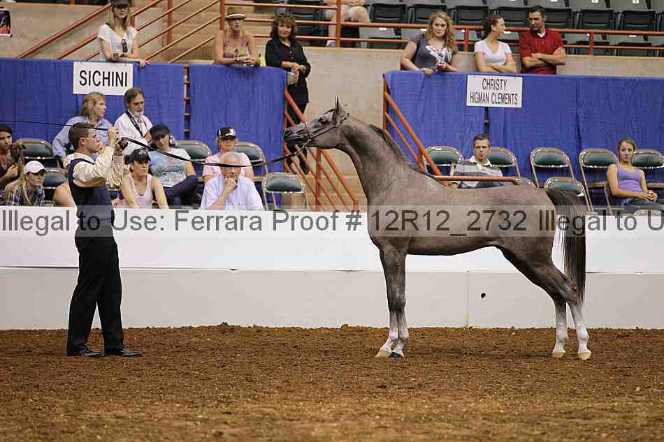 Proof Number 12r12_2732