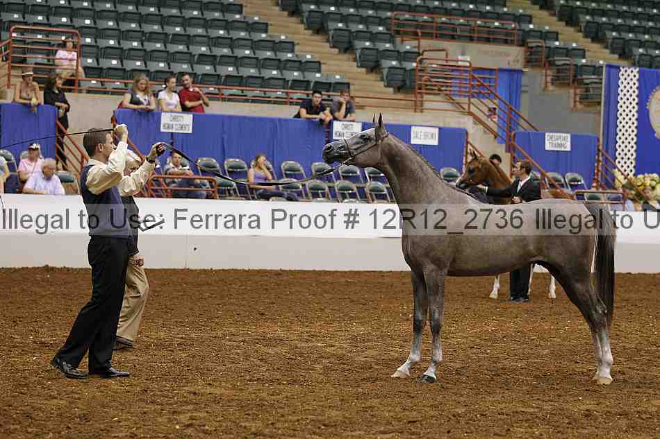 Proof Number 12r12_2736